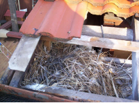 Bird nest in the roof